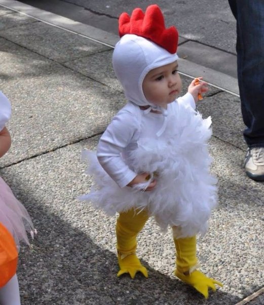 Fee35755d177dec0c135a28e36dfd5c9--chicken-costumes-cute-cost