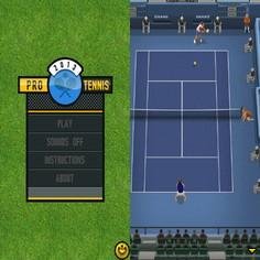 Pro Tennis 2013 240x400