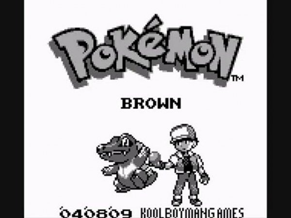 Pokemon brown NEW