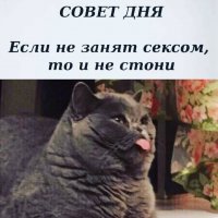 Совет дня