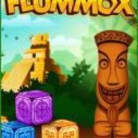 Flummox Brainstorming Puzzle