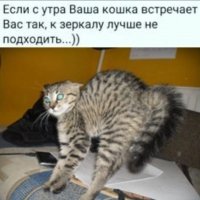 В шоке