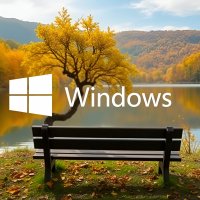 Windows,осень,скамейка,дерево.11