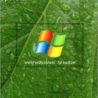 Windows 7