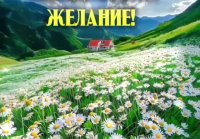 День летнего солнцестояния