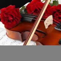 Violin Roses Notes Red Three 3 555080 5250x3500