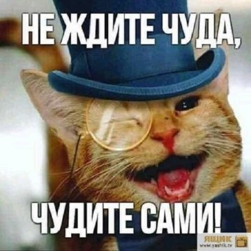 Не ждите чуда -- чудите сами!