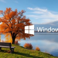 Windows,осень,скамейка,дерево.03