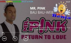 Mr. Pink - Bau Bau