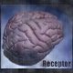 Receptor - Room 302