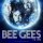 Bee Gees - Islands In The Stream (Live)