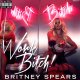 Britney Spears  - Work Work (Richard Vission Remix)