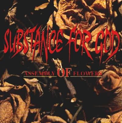 Substance For God - The Love Ive Bereaved