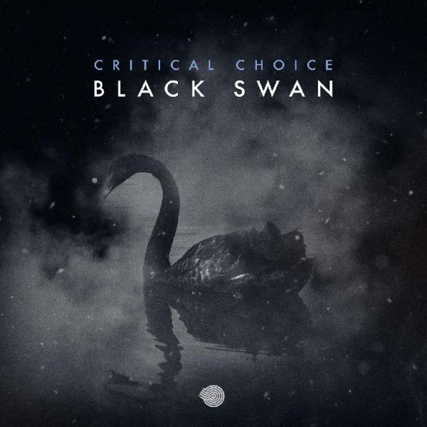 Critical Choice - Black Swan (Original Mix)