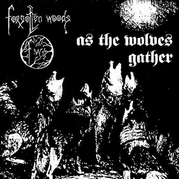 Forgotten Woods - Dimension of the Blackest Dark