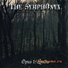 The SymphOnyx - Winterfall Radio Edit