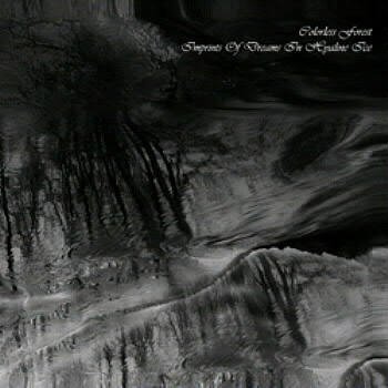 Colorless Forest - Starway River