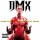 DMX - Slippin