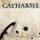 Catharsis - Семь Дорог