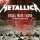 Metallica - Broken, Beat & Scarred