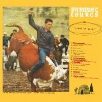 Parquet Courts - Light Up Gold II