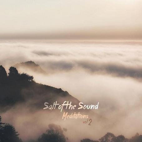 Salt Of The Sound - Alive