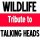 Wildlife - Once in a Lifetime