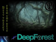 Deep Forest - ✔playlist: Best tracks from the best (Сборник)