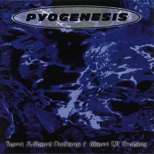 Pyogenesis - Ill Search