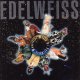 Edelweiss - Starship (Raumschiff) Edelweis