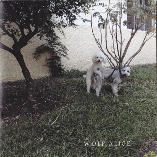 Wolf Alice - Bros (Home Demo Remix)