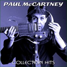 Paul McCartney - Monkberry Moon Delight