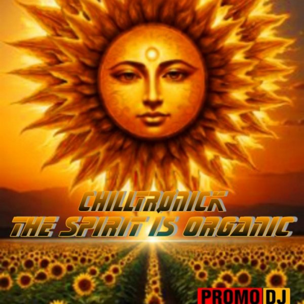 CHILLTRONICK - THE SPIRIT IS ORGANIC (ORGANIC MIX)