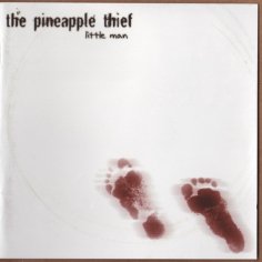 The Pineapple Thief - Boxing Day