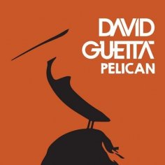 David Guetta - Pelican (Original Mix)