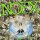 NoFX - Its My Job To Keep Punk Rock Elite