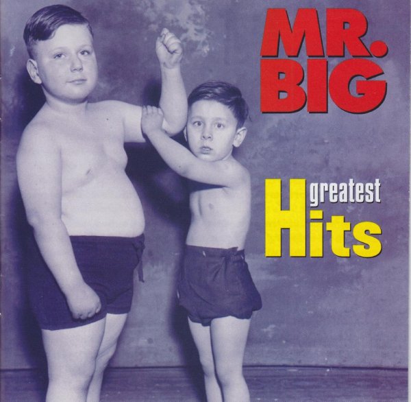 Mr. Big - Shine