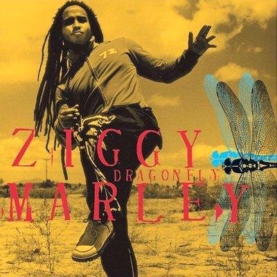 Ziggy Marley - Looking