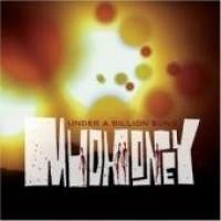 Mudhoney - It Is Us
