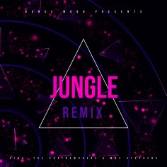 Alok, The Chainsmokers & Mae Stephens - Jungle (DJ EDGE Remix)