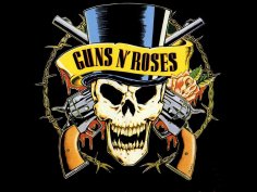 Guns N Roses - Sex, Drugs And Rock N Roll