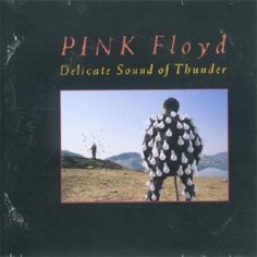 Pink Floyd - Dont Leave Me Now