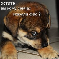 30885846-062-spaces.ru