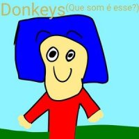 Heitor-fonseca-amaro-donkeys-que-som-e-esse