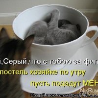 Подадут меня!