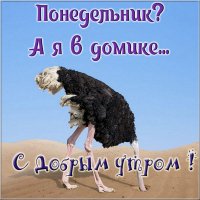 А я в домике...