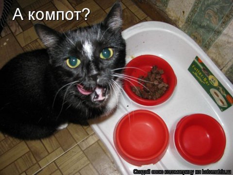 А компот?