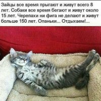 Отдыхаем!