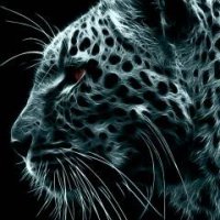 art-leopardy-zhivotnye-9630