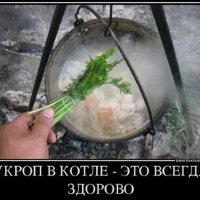 Укроп в котле-это очень хорошо!